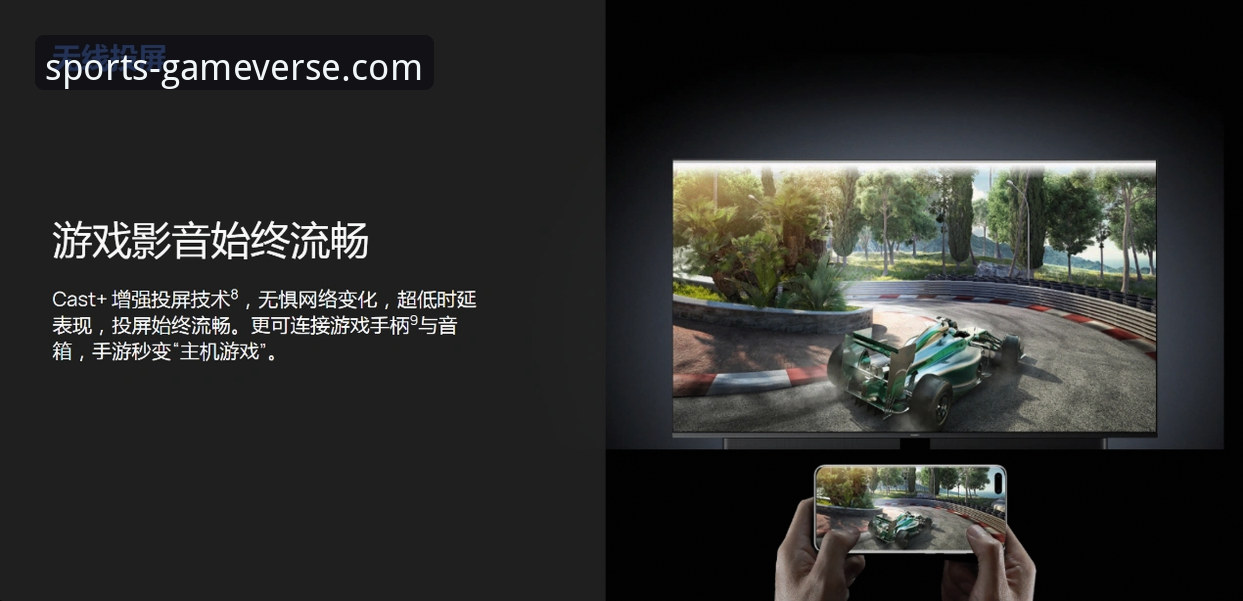 爱游戏平台电脑版全面评测：稳定入口与多元娱乐体验深度解析